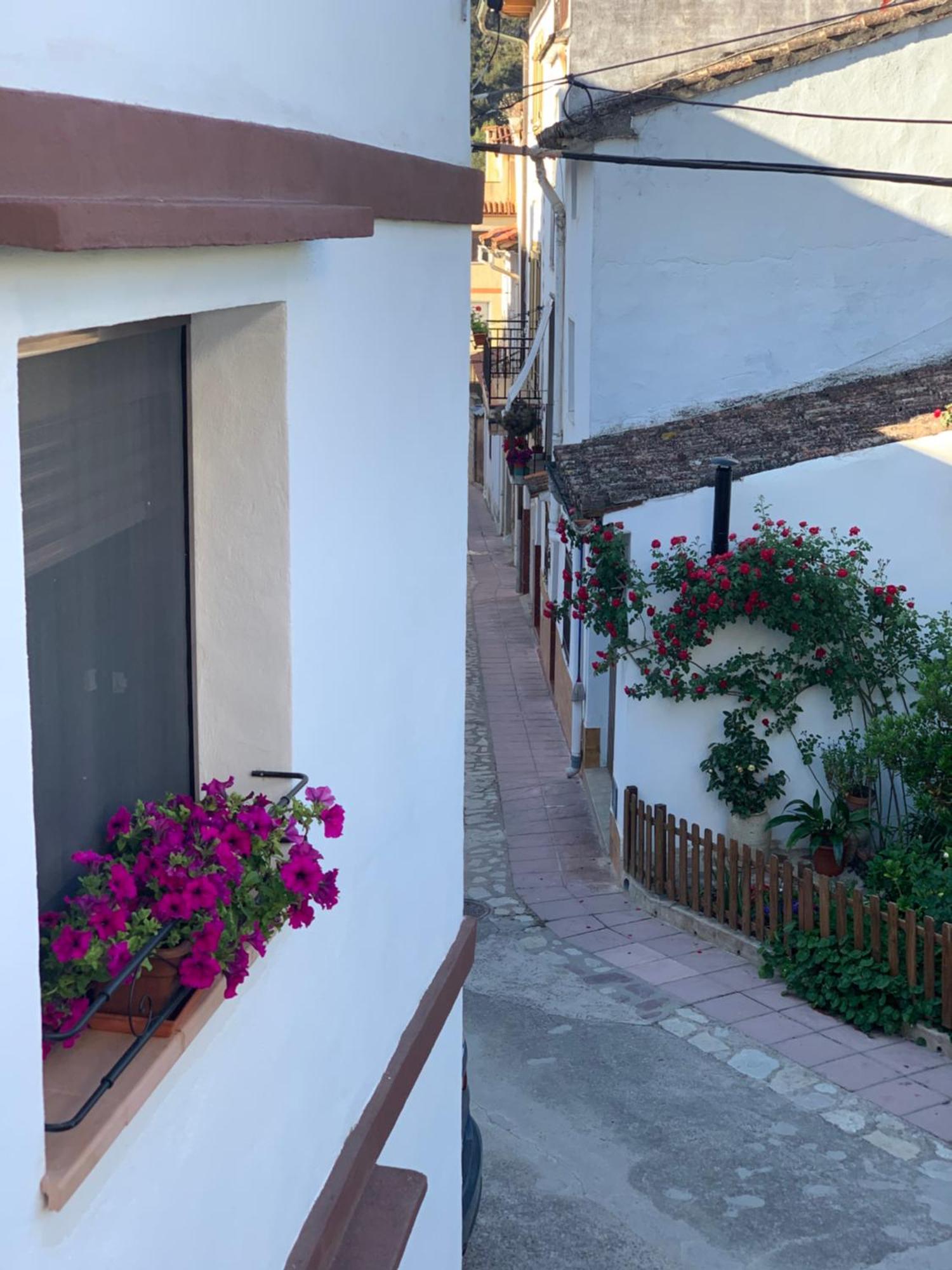 El Rincon De Beatriz