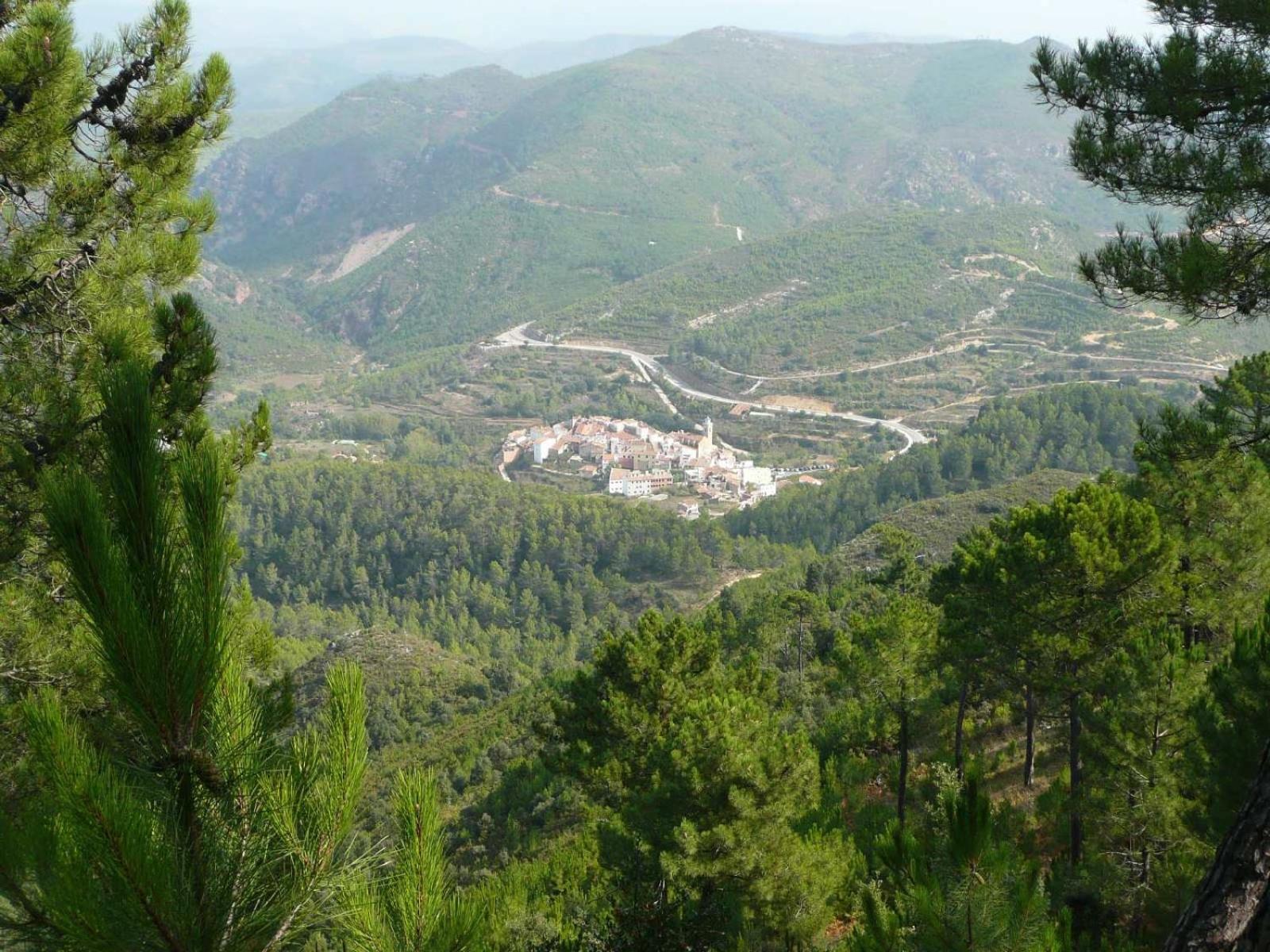 El Rincon De Beatriz